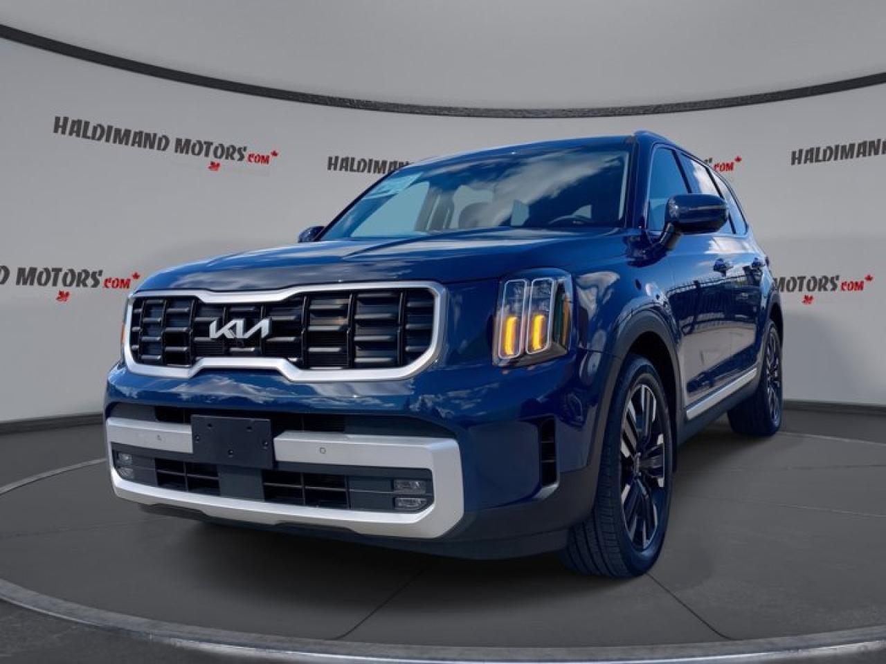 Used 2024 Kia Telluride SX for sale in Cayuga, ON