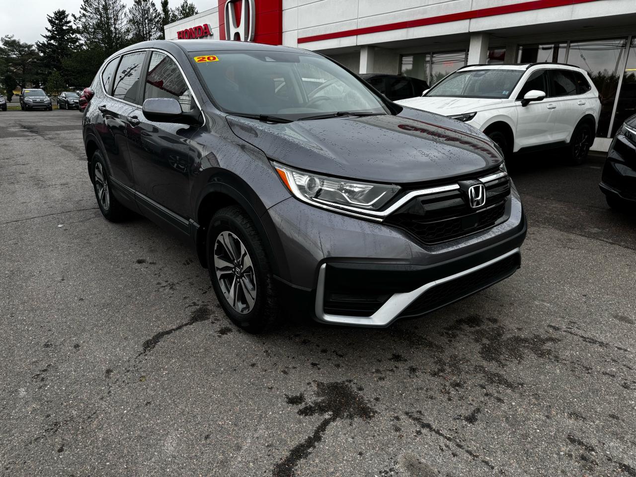2020 Honda CR-V LX Photo1