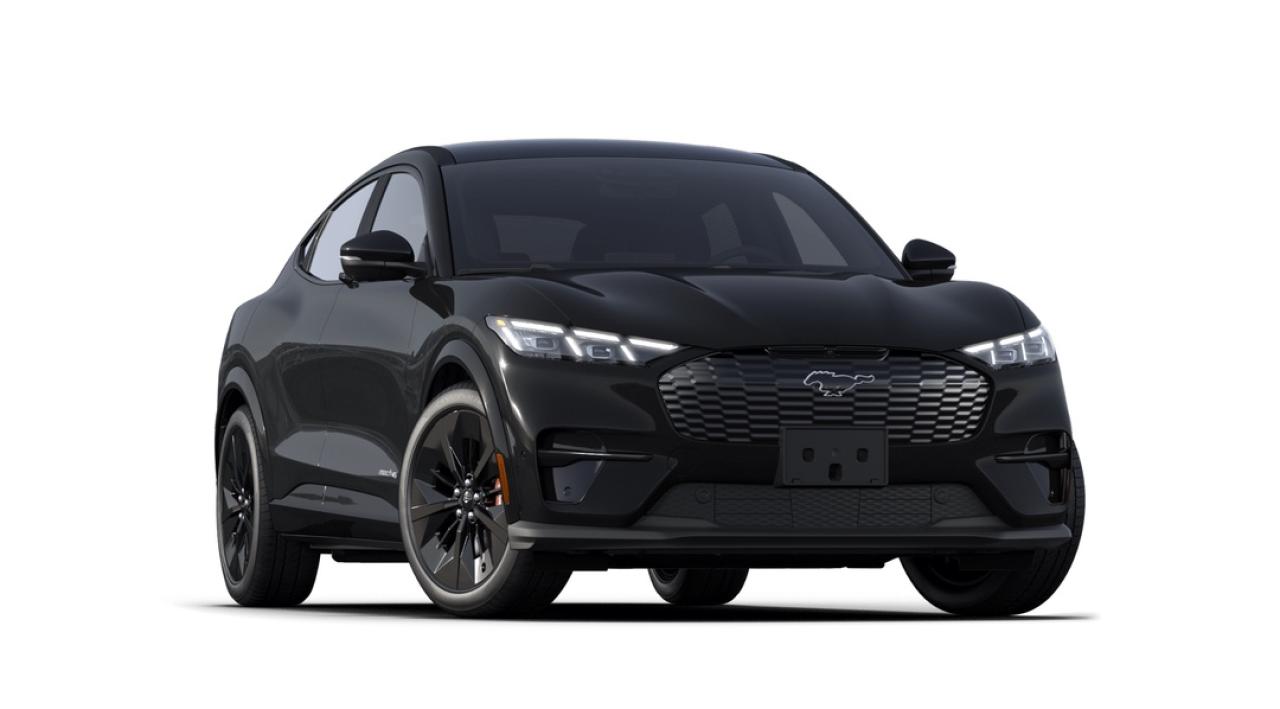 2025 Ford Mustang Mach-E GT Photo3