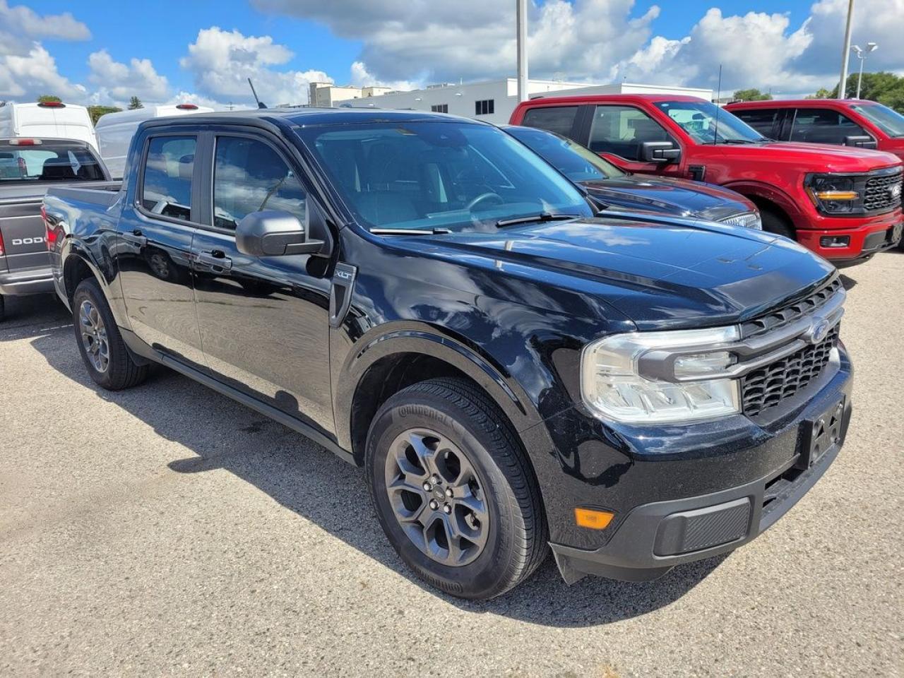 2023 Ford Maverick XLT Photo8