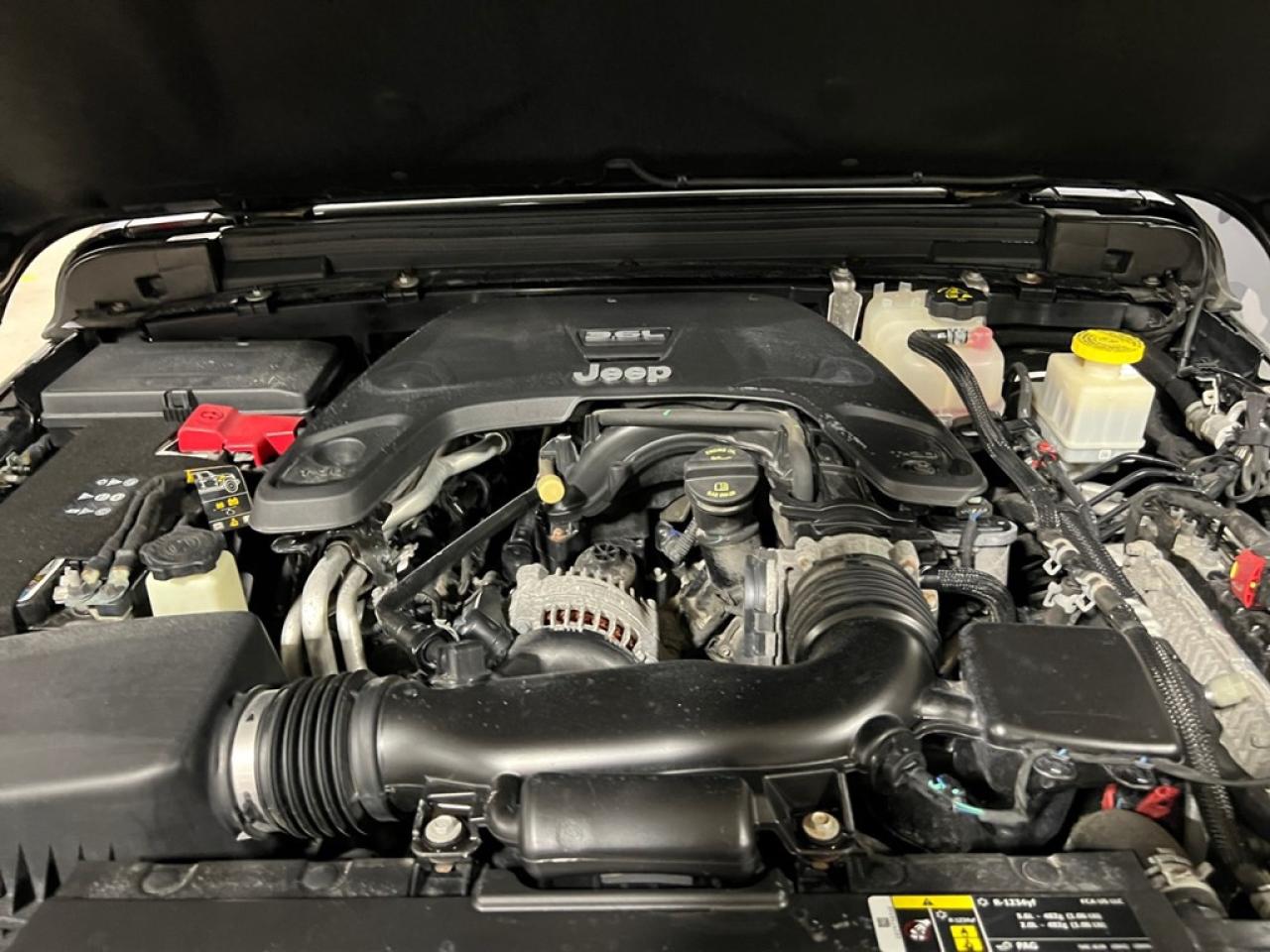 12900044