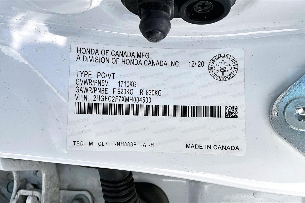 12900638