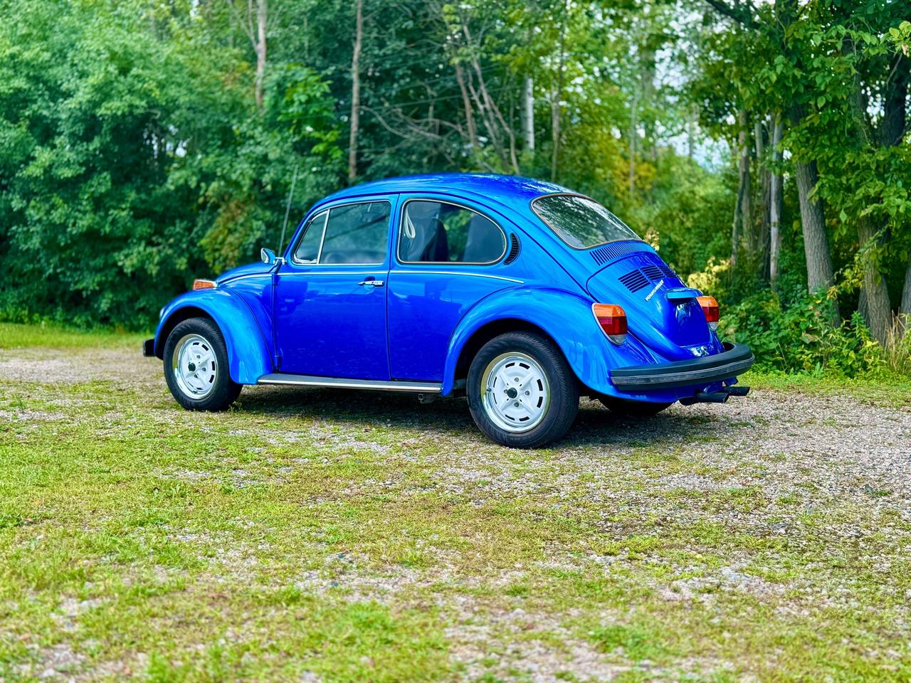 1976 Volkswagen Beetle Hatchback Photo