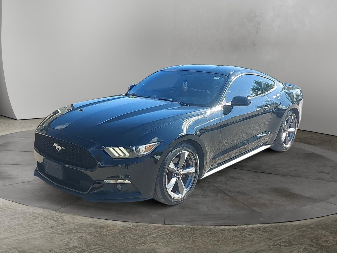 2017 Ford Mustang V6 Photo0