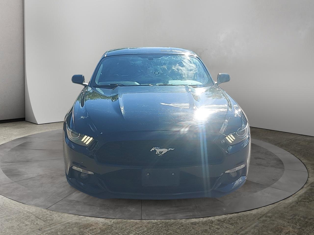 2017 Ford Mustang V6 Photo