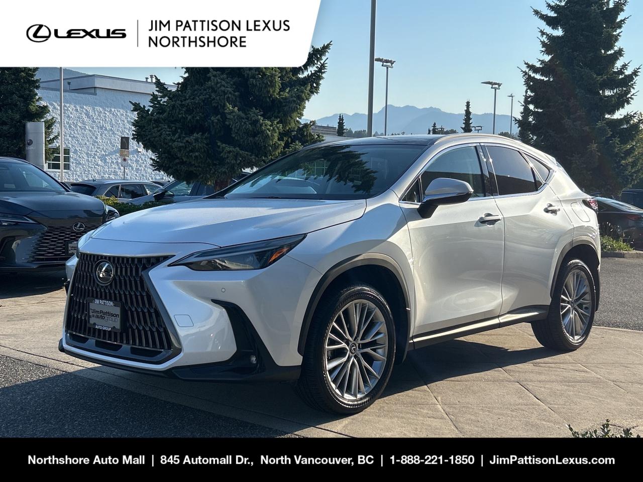 Used 2024 Lexus NX 350 / Luxury Package / No Accidents / Local Car for sale in North Vancouver, BC