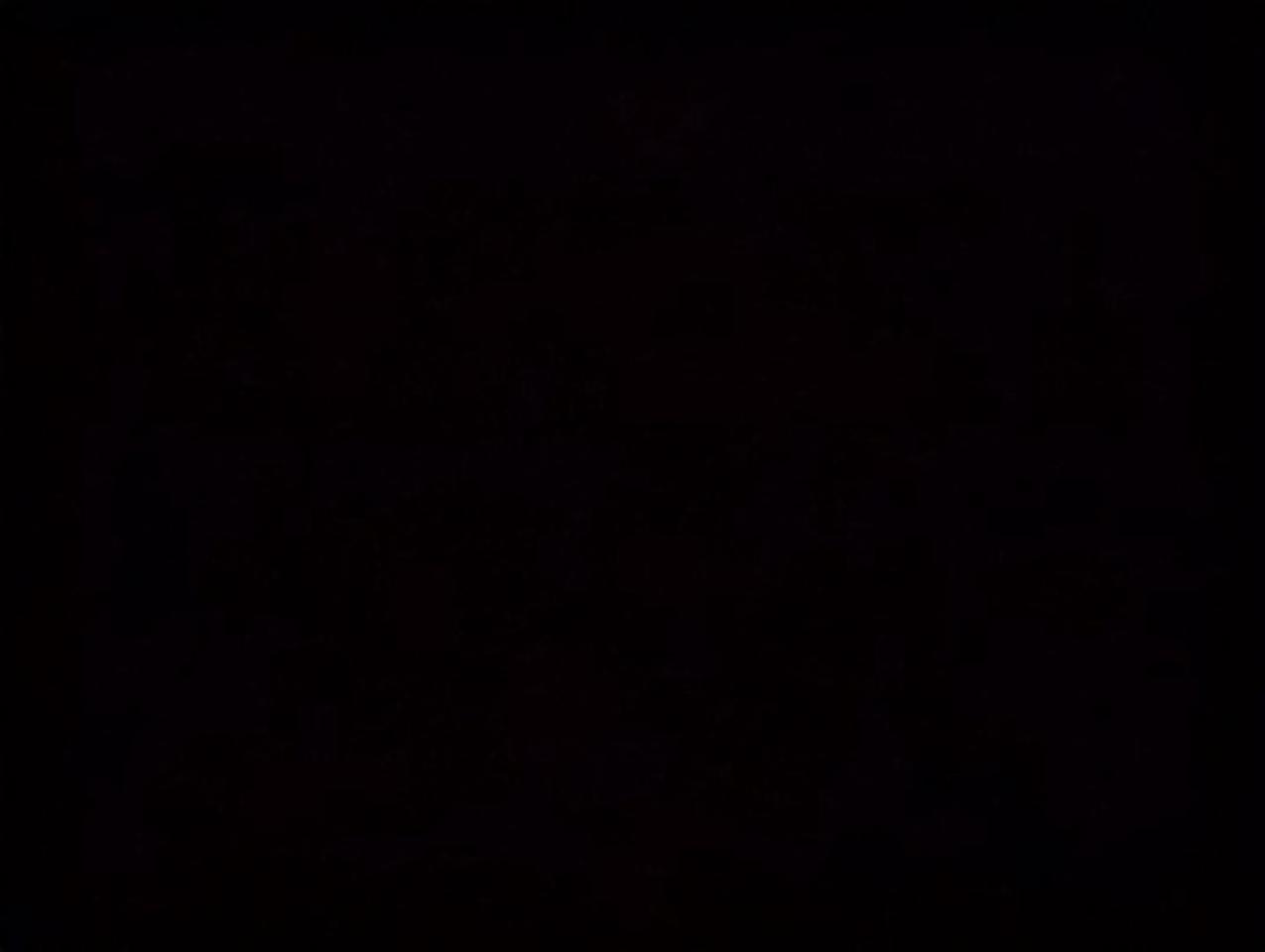 12903029