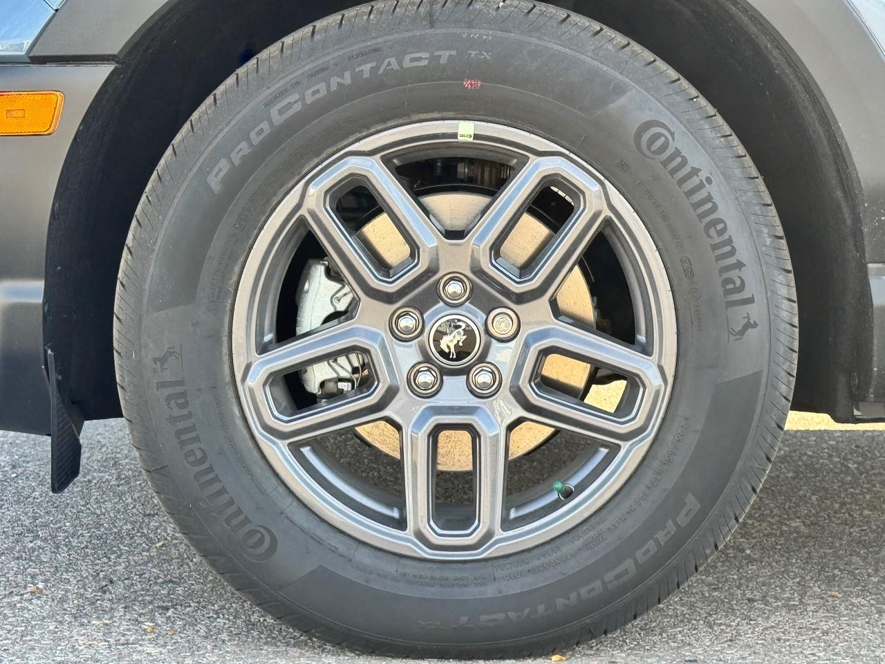 12904364