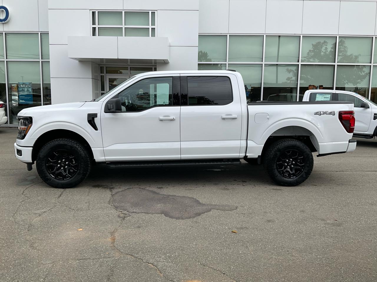 2025 Ford F-150 XLT Photo4