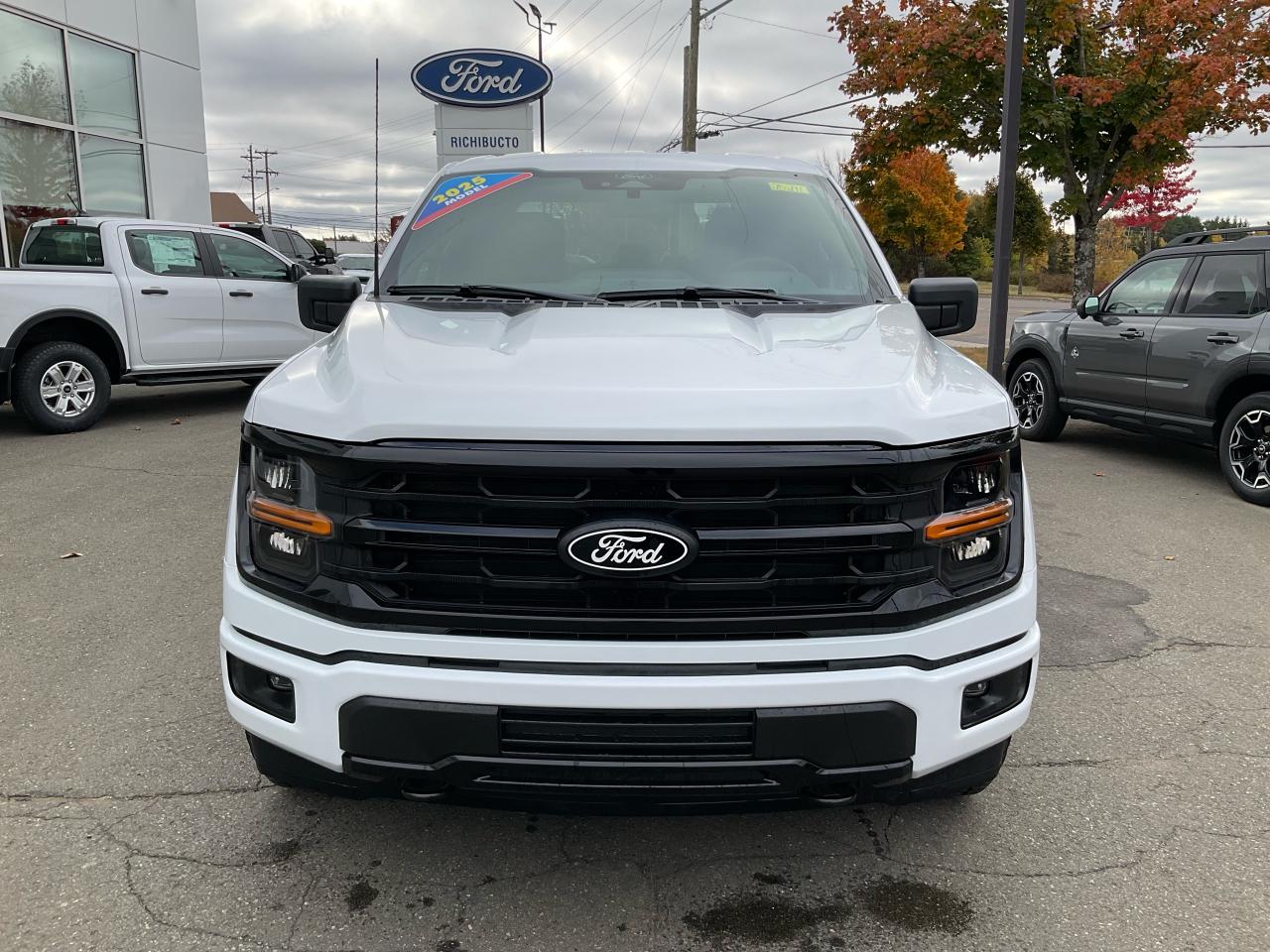 2025 Ford F-150 XLT Photo