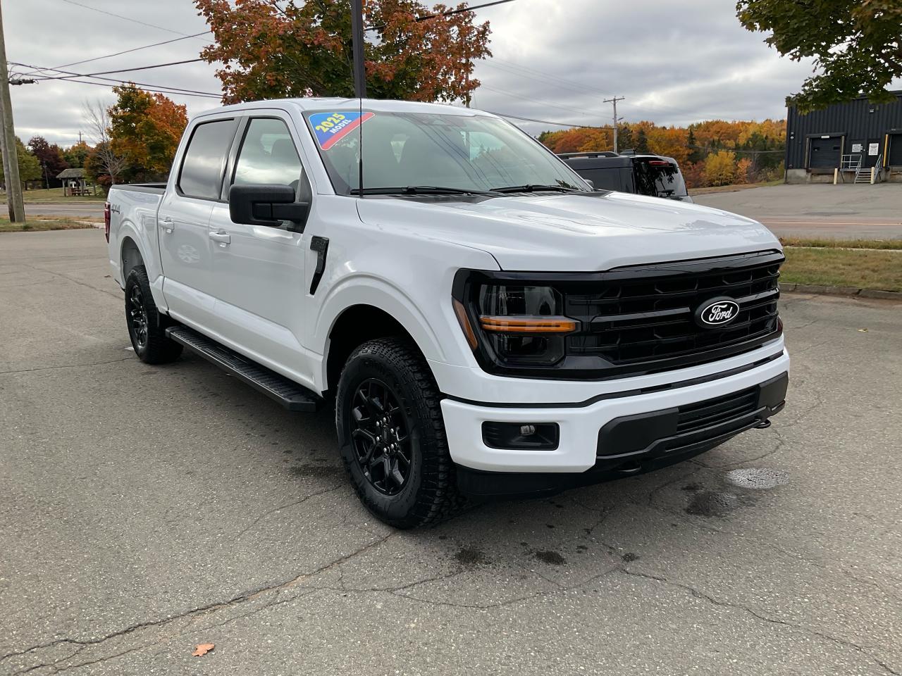 2025 Ford F-150 XLT Photo