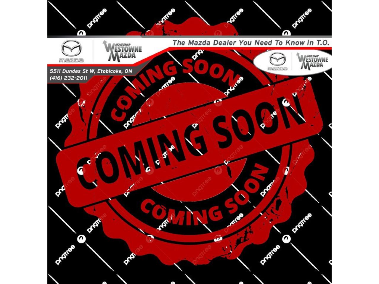 2013 Fiat 500 2dr Conv Lounge Photo0