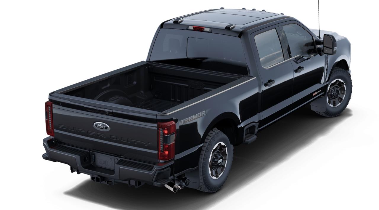 2025 Ford F-350 Super Duty SRW Lariat Photo