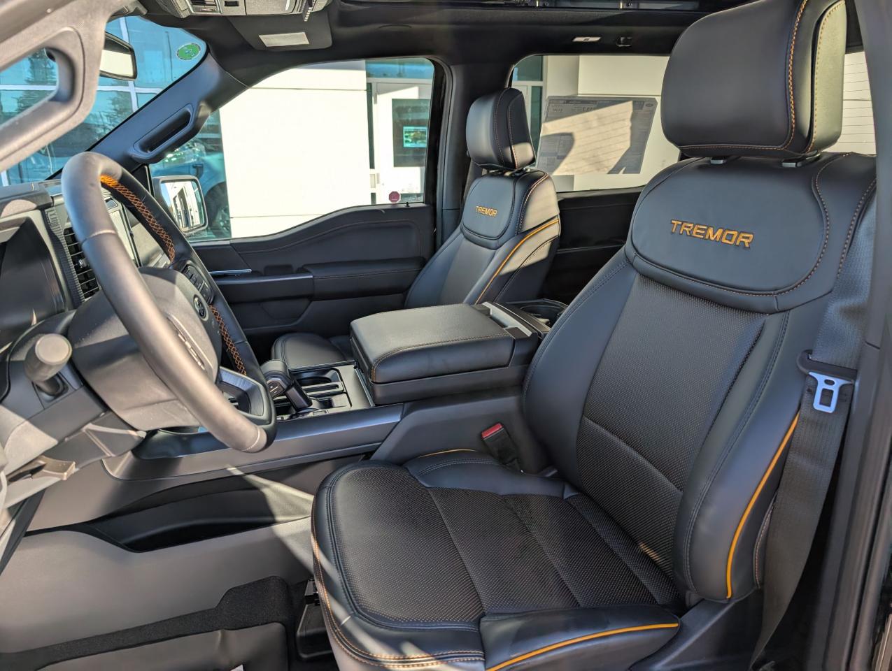 2025 Ford F-150 Tremor Photo5