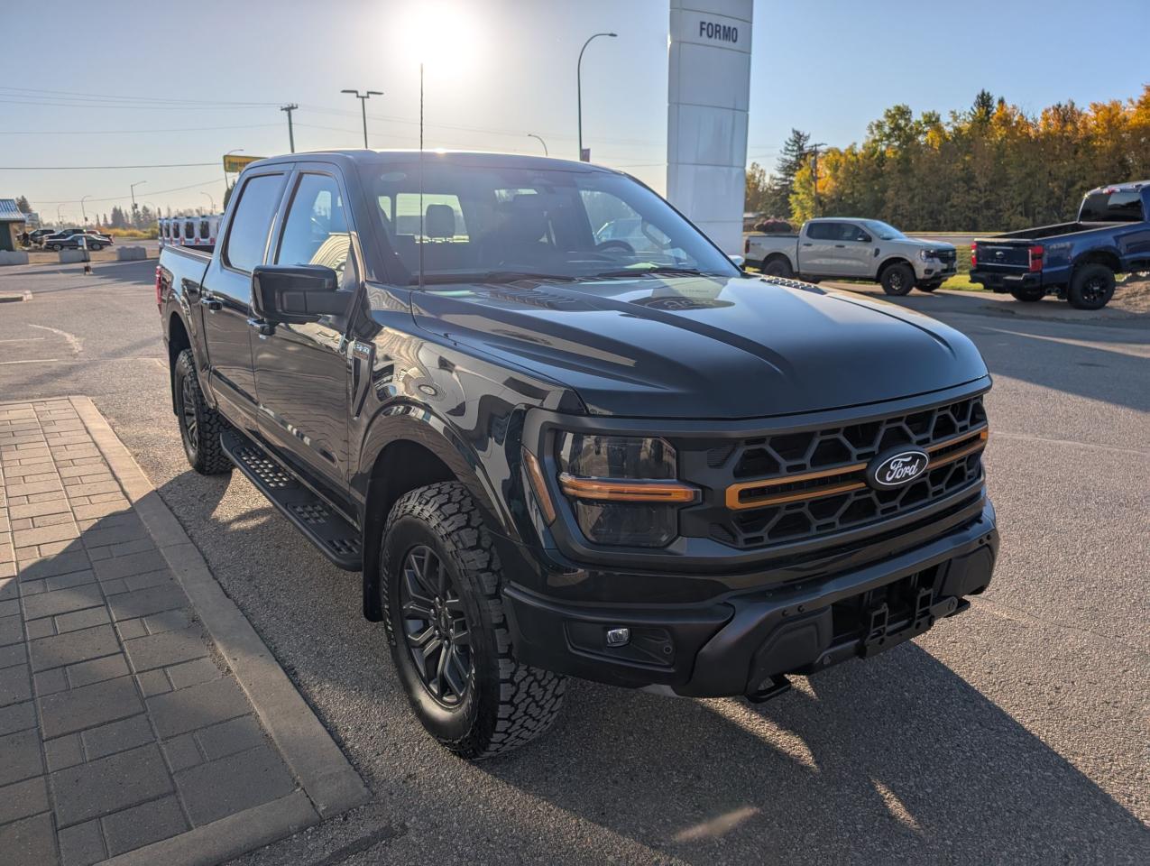 2025 Ford F-150 Tremor Photo