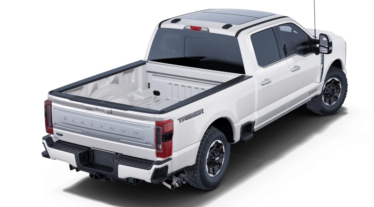 2025 Ford F-350 Super Duty SRW Platinum Photo