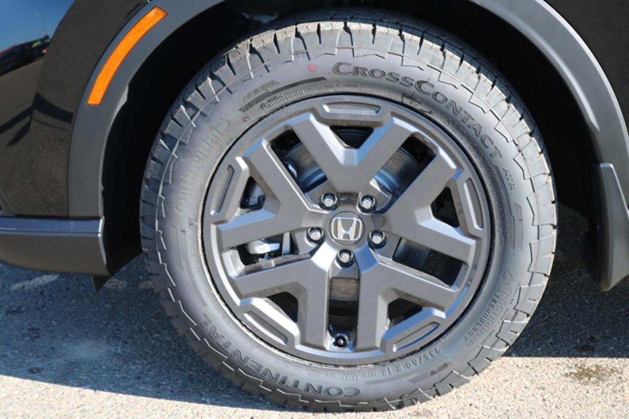 2026 Honda CR-V  Photo