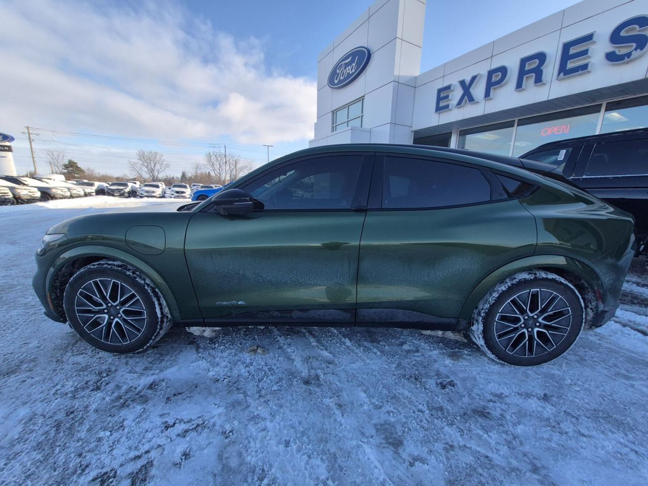 2025 Ford Mustang Mach-E PREMIUM AWD, EXTENDED RANGE, PANORAMIC ROOF Photo
