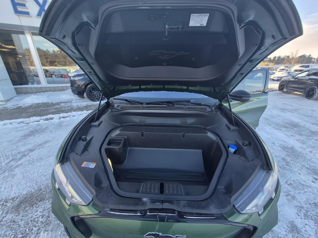 2025 Ford Mustang Mach-E PREMIUM AWD, EXTENDED RANGE, PANORAMIC ROOF Photo