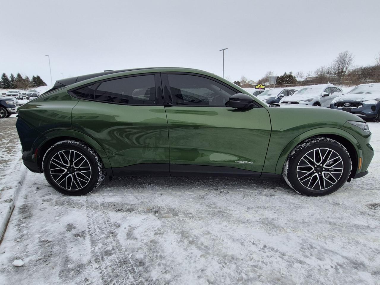 2025 Ford Mustang Mach-E PREMIUM AWD, EXTENDED RANGE, PANORAMIC ROOF Photo