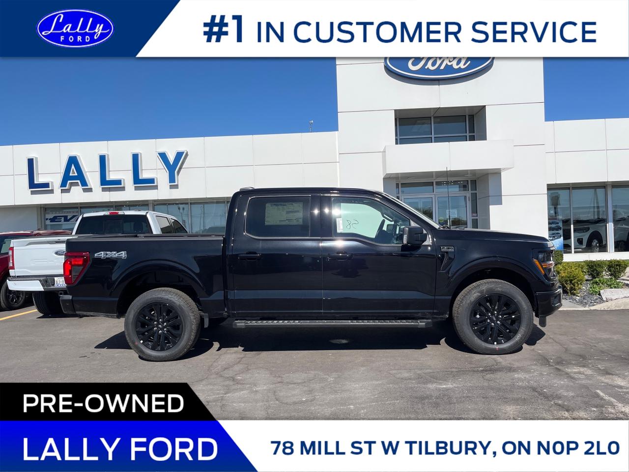 2025 Ford F-150 XLT Photo