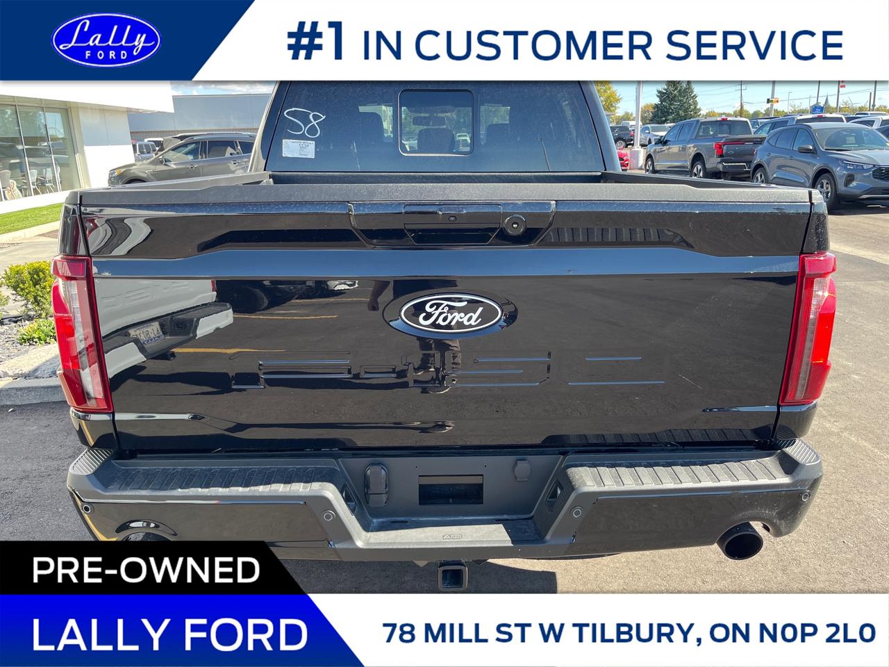 2025 Ford F-150 XLT Photo