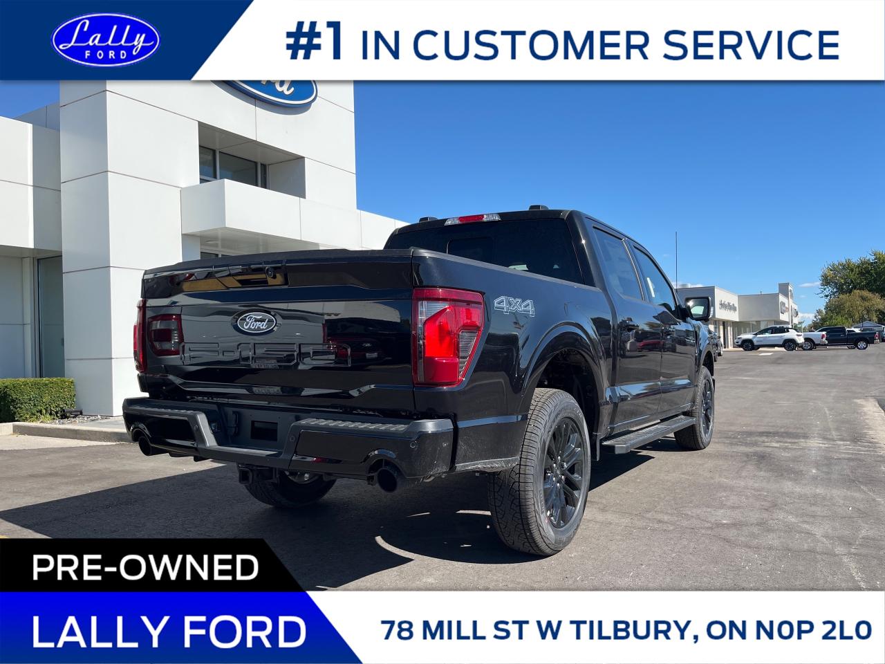 2025 Ford F-150 XLT Photo2