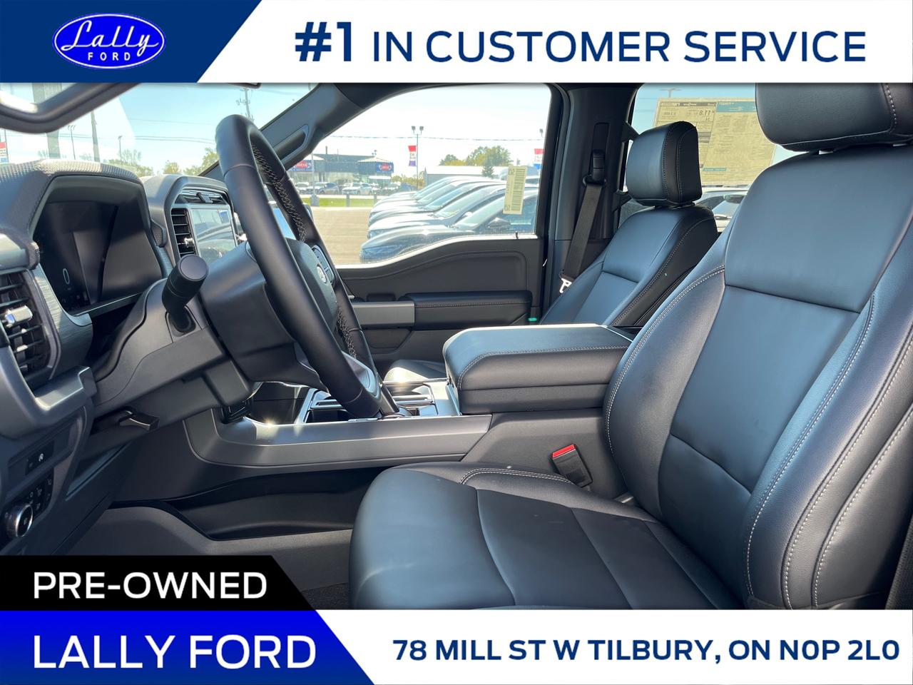 2025 Ford F-150 XLT Photo