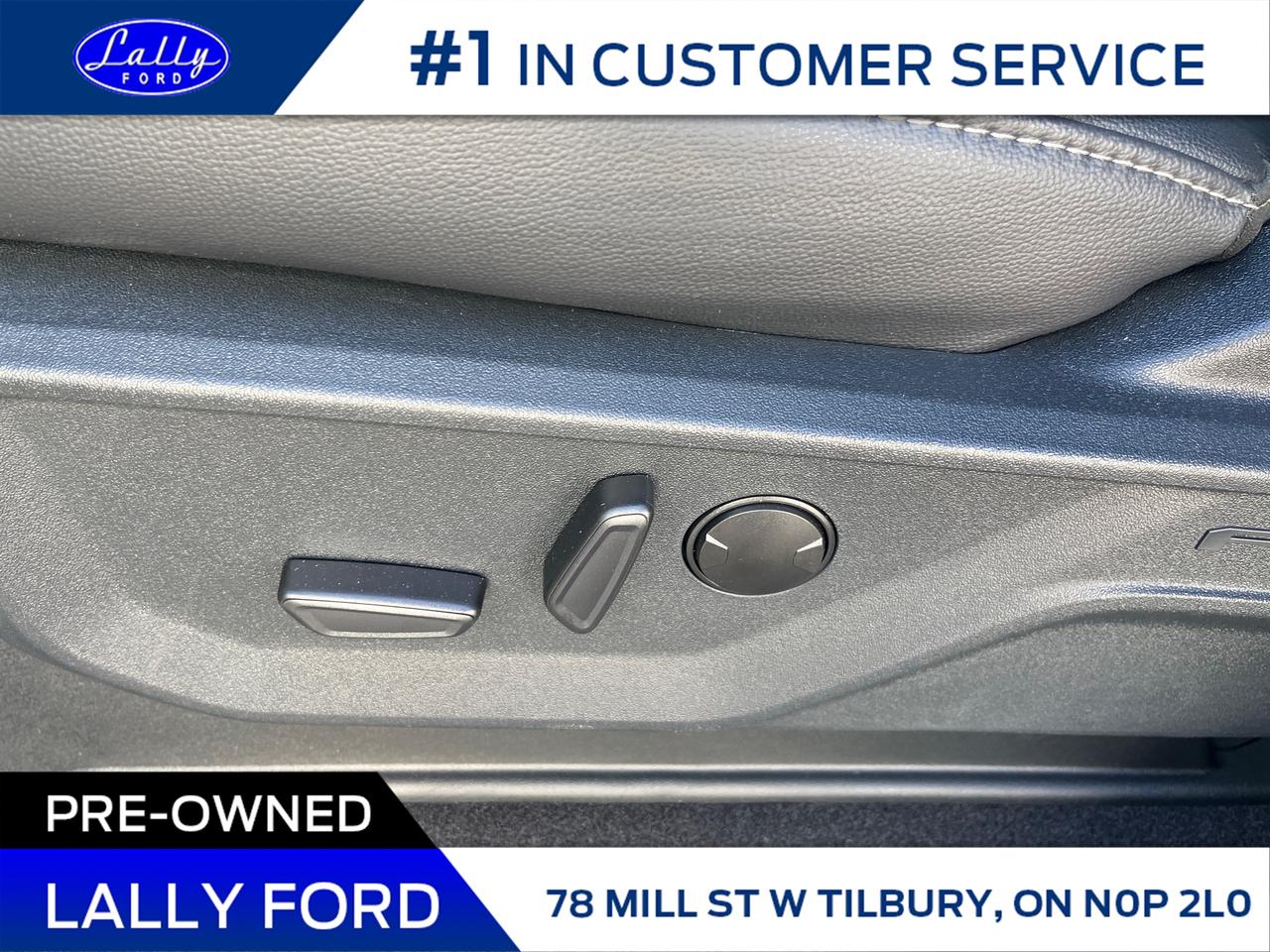 2025 Ford F-150 XLT Photo