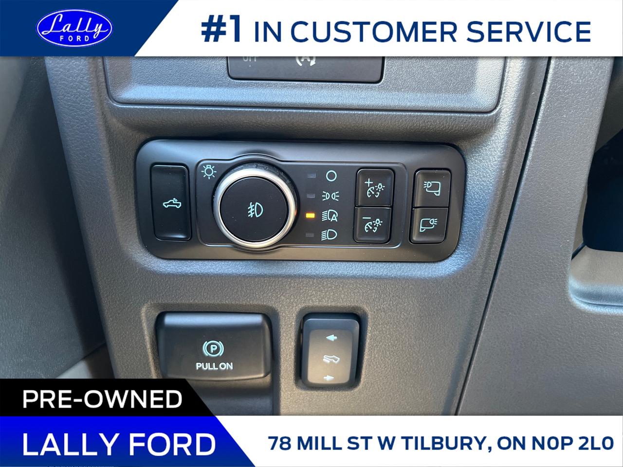 2025 Ford F-150 XLT Photo