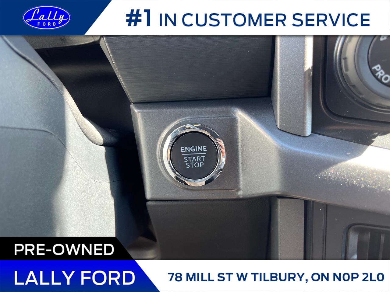 2025 Ford F-150 XLT Photo