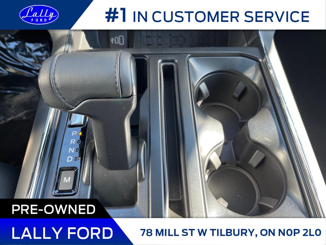 2025 Ford F-150 XLT Photo