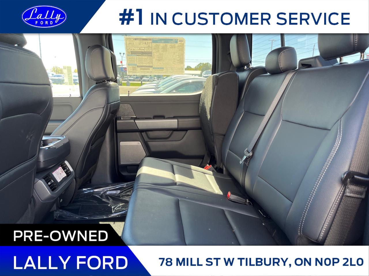 2025 Ford F-150 XLT Photo