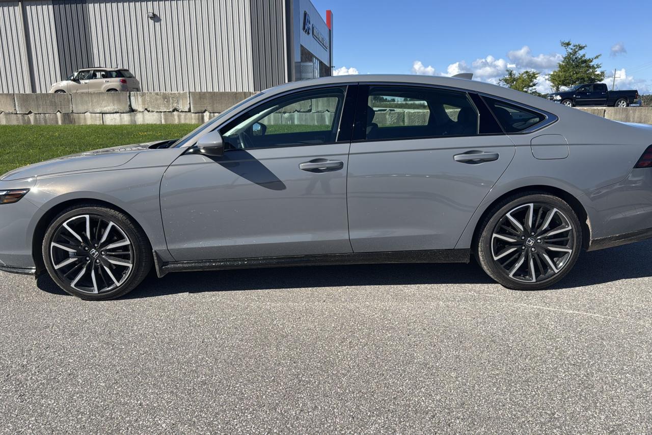 2024 Honda Accord Touring Photo1