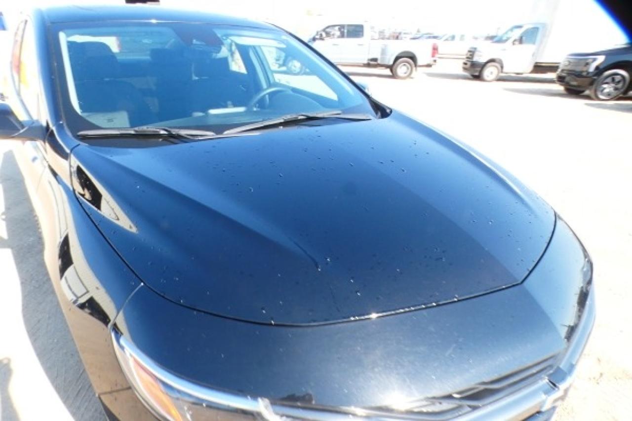 2023 Chevrolet Malibu 1LT w/Htd cloth, pano S/R, BUC - Photo #34