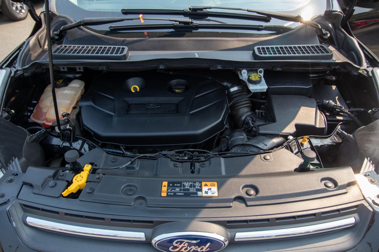2016 Ford Escape 4WD 4dr SE Photo5