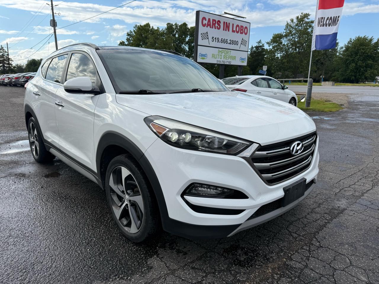 2017 Hyundai Tucson Limited Photo25
