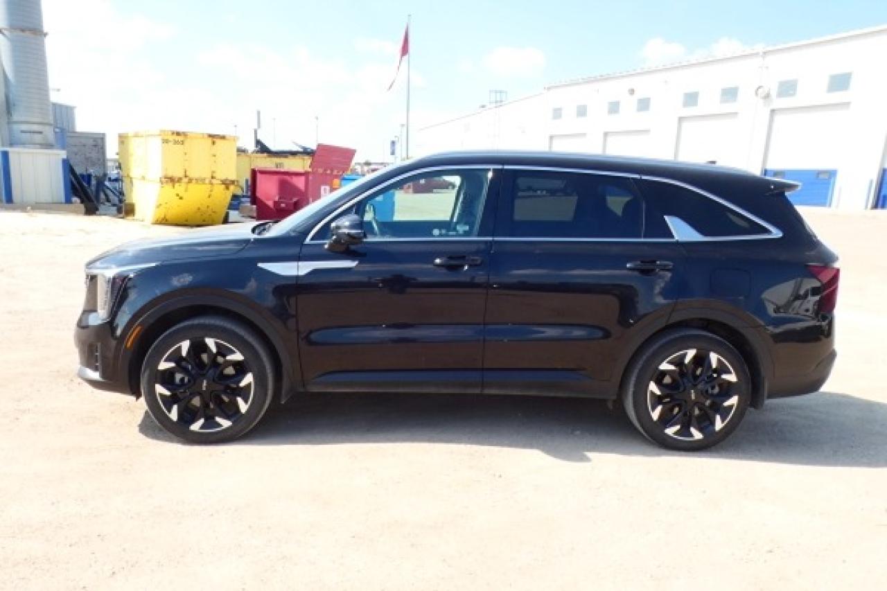 2024 Kia Sorento EX AWD w/Htd Leather, Htd wheel, BUC