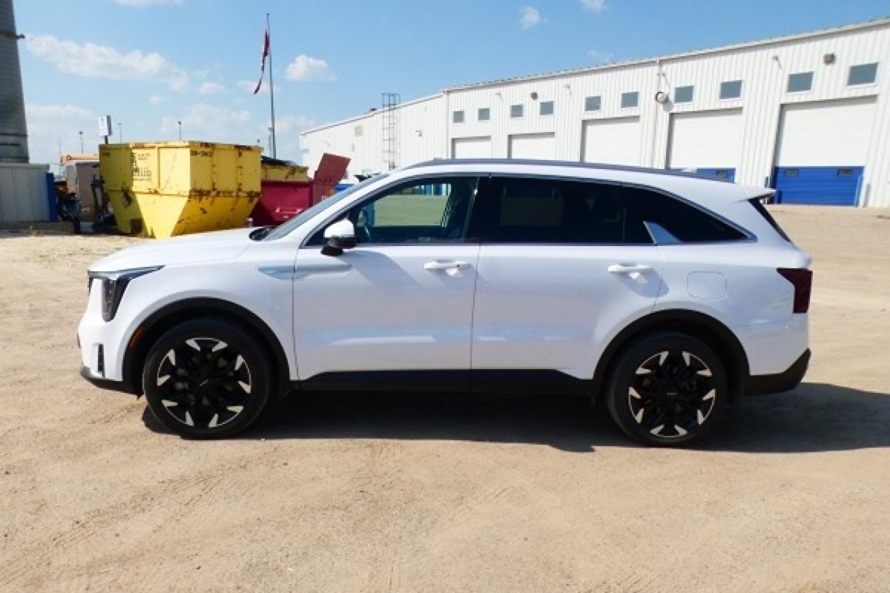 2024 Kia Sorento EX AWD w/Htd Leather, Htd wheel, BUC