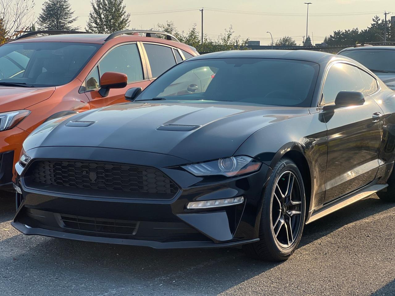 Used 2019 Ford Mustang EcoBoost for sale in Langley, BC