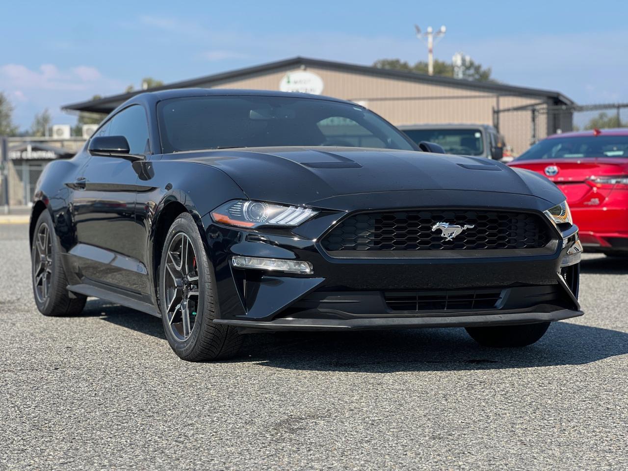 2019 Ford Mustang EcoBoost - Photo #1
