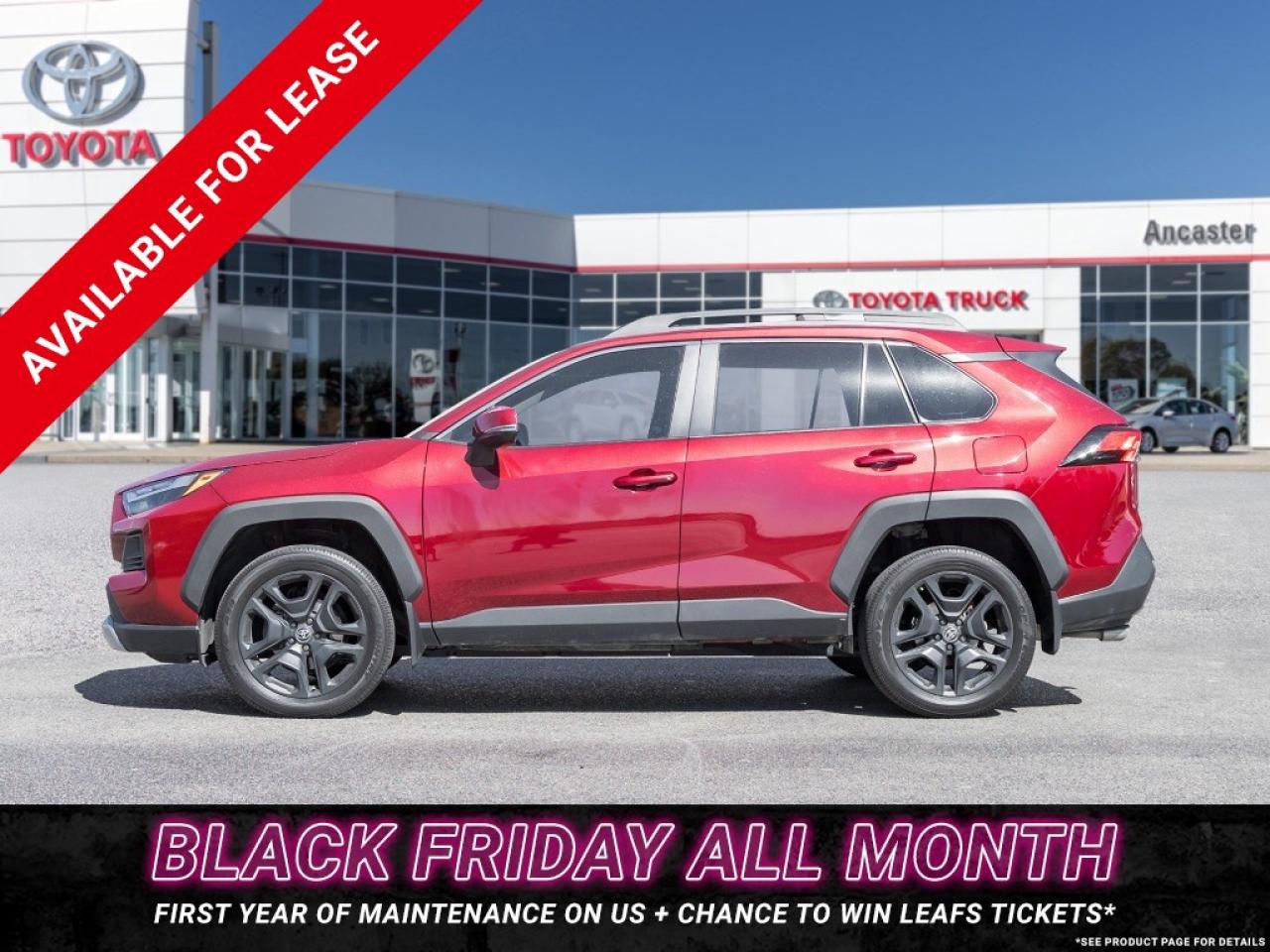 2022 Toyota RAV4 TRAIL AWD Photo