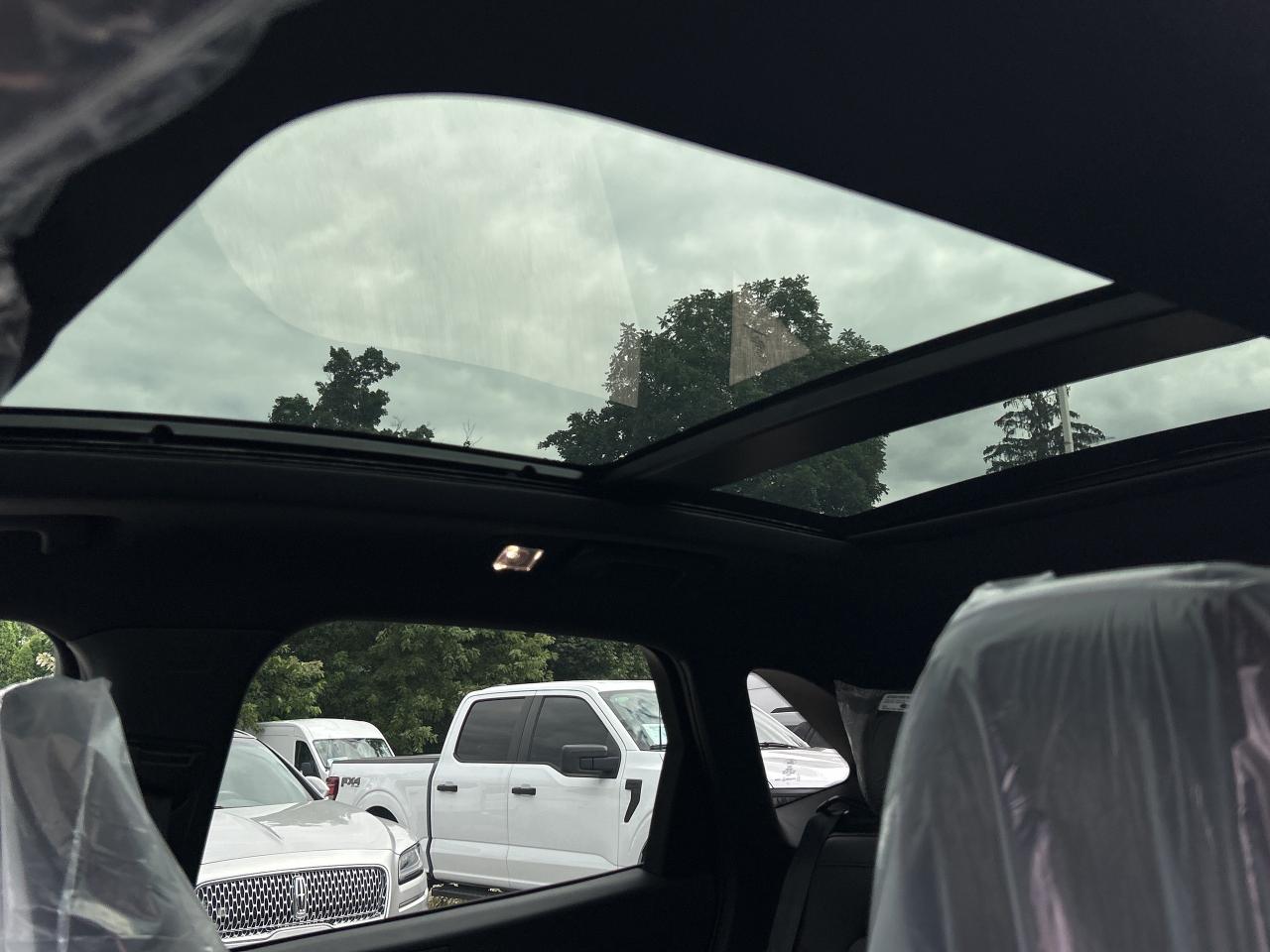2025 Ford Escape ST-Line Elite  - Sunroof Photo