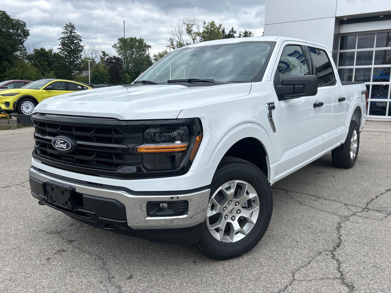 New 2025 Ford F-150 XLT  - Climate Control -  SYNC 4 for sale in Caledonia, ON