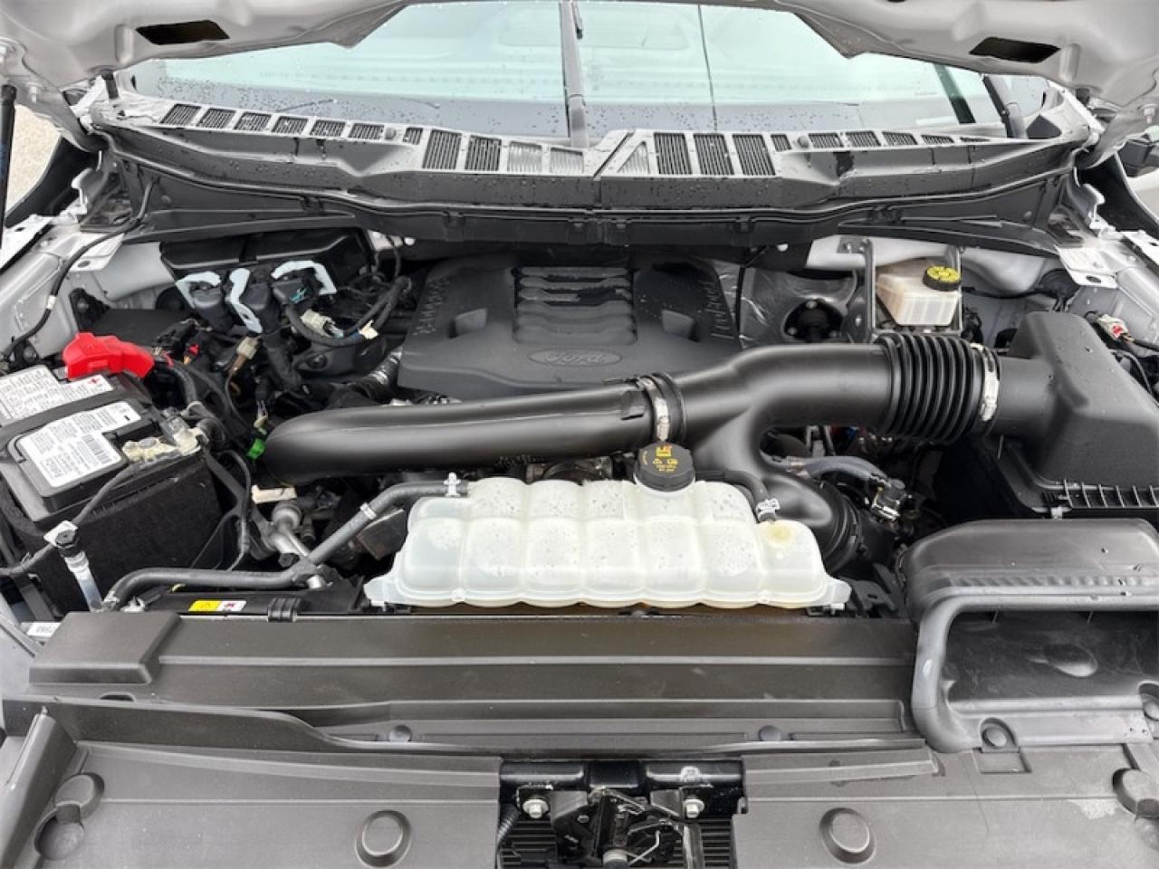 2023 Ford F-150 XLT  Heated Seats Photo