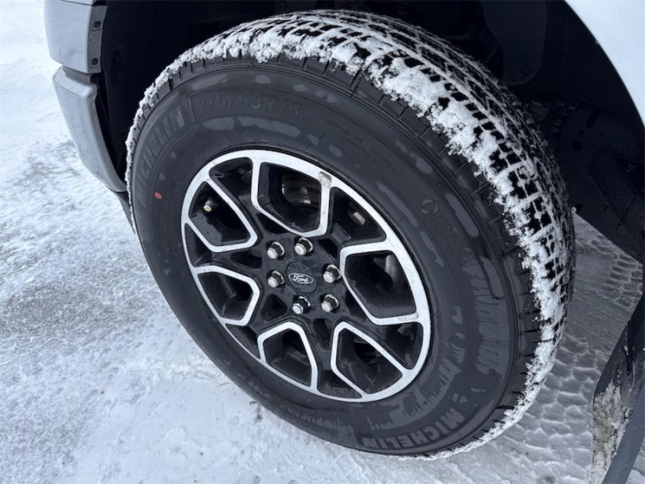 2023 Ford F-150 XLT  Heated Seats Photo