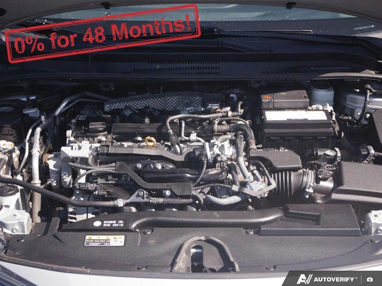 2023 Toyota Corolla LE Photo