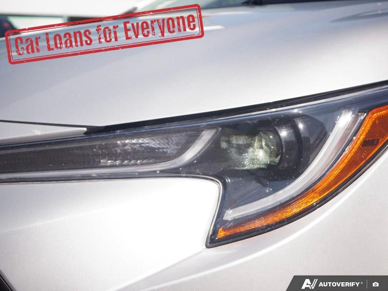 2023 Toyota Corolla LE Photo