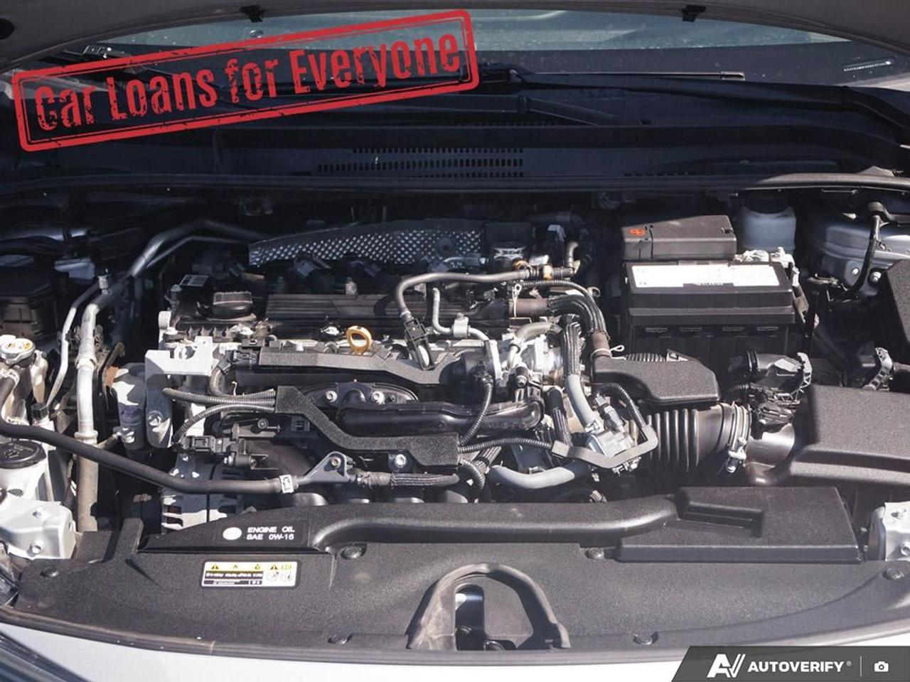 2023 Toyota Corolla LE Photo