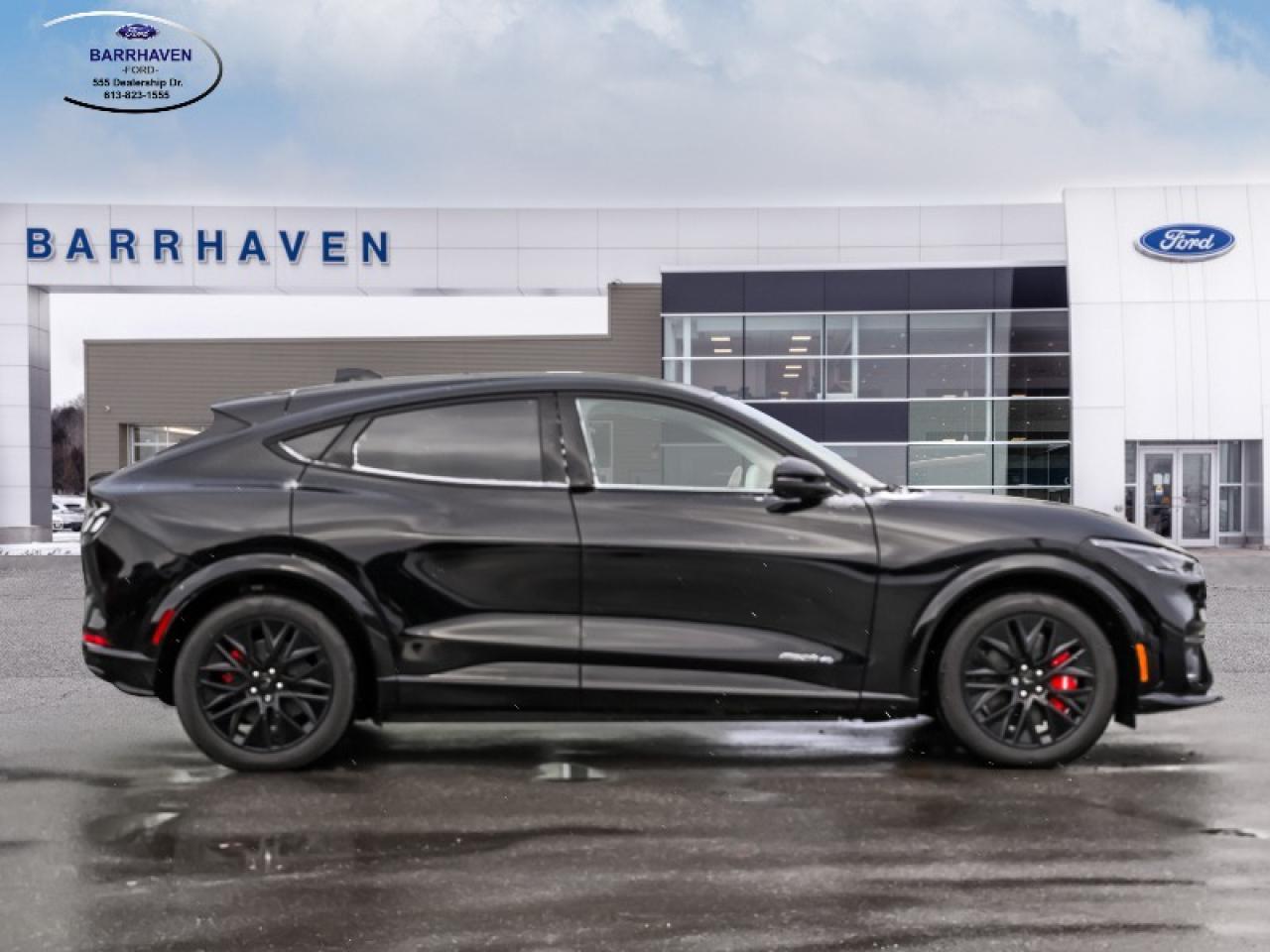 2025 Ford Mustang Mach-E Premium Photo